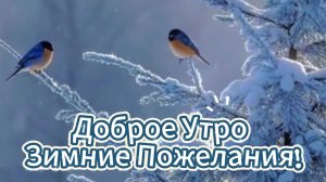 Открытки Доброе Утро Зимние Пожелания!