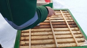 Тревожный сигнал....Что случилось с пчелами без утепляющей подушки?