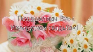 Красивое поздравление с Изумрудной свадьбой - 55 лет