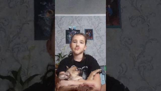 привет смотреть онлайн