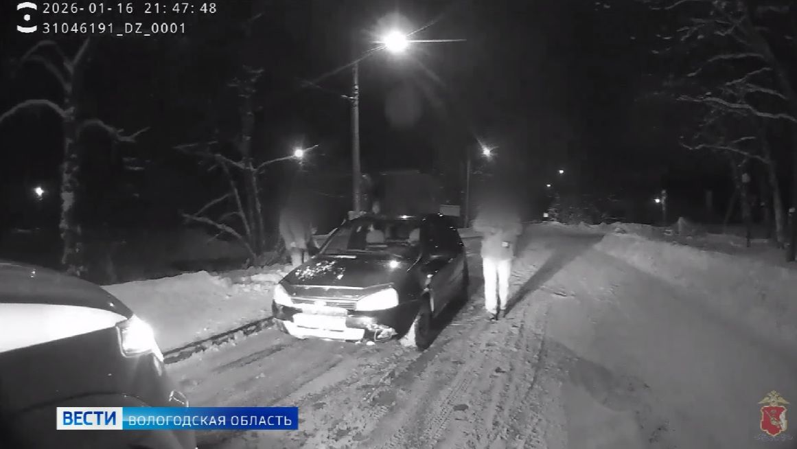 Водитель попался с поддельными документами полицейским в Семёнково смотреть онлайн