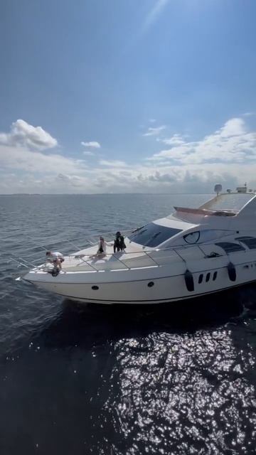 IMG_8679 смотреть онлайн