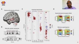 Буквы санскрита влияние на мозг