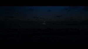 Кит-убийца - 2026 (01)