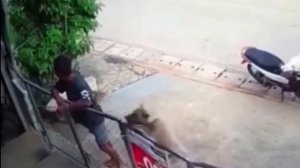 Инстинкт сторожа 🐕😅