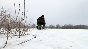 Рыбалка 21 января на мою безмотылку на рыбном заливе реки