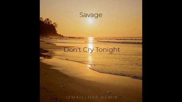 Savage - Don't Cry Tonight (izmailloff remix)