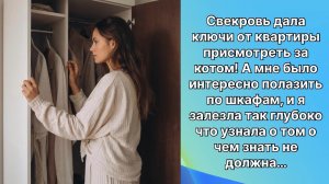 Свекровь дала мне ключи присмотреть за котом а я полезла в шкаф и узнала страшную тайну