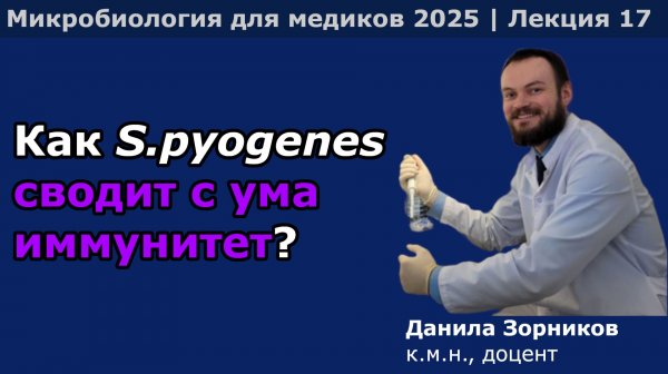 Патогенные стрептококки и энтерококки (роды Streptococcus, Enterococcus)