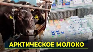 Ямальские производители молока получат окружную субсидию