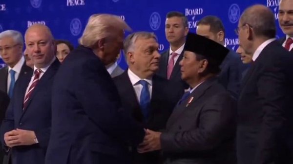 telegram-cloud-document-2-5447484614119559727