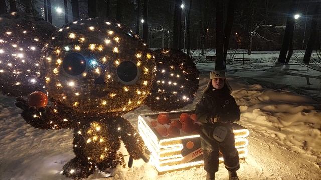 гуляю в парке#сновымгодом #першинплатон