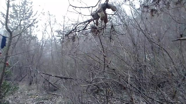 стихотворение ПРОСТО ТУМАНЯТИНА