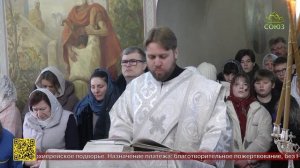 Глава Воронежской митрополии посетил Богоявленский храм села Терновое