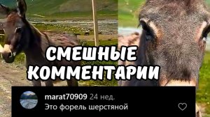 #смешныевидео -757