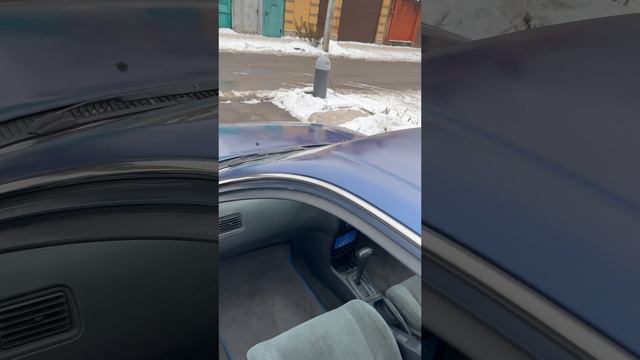 IMG_4919 смотреть онлайн