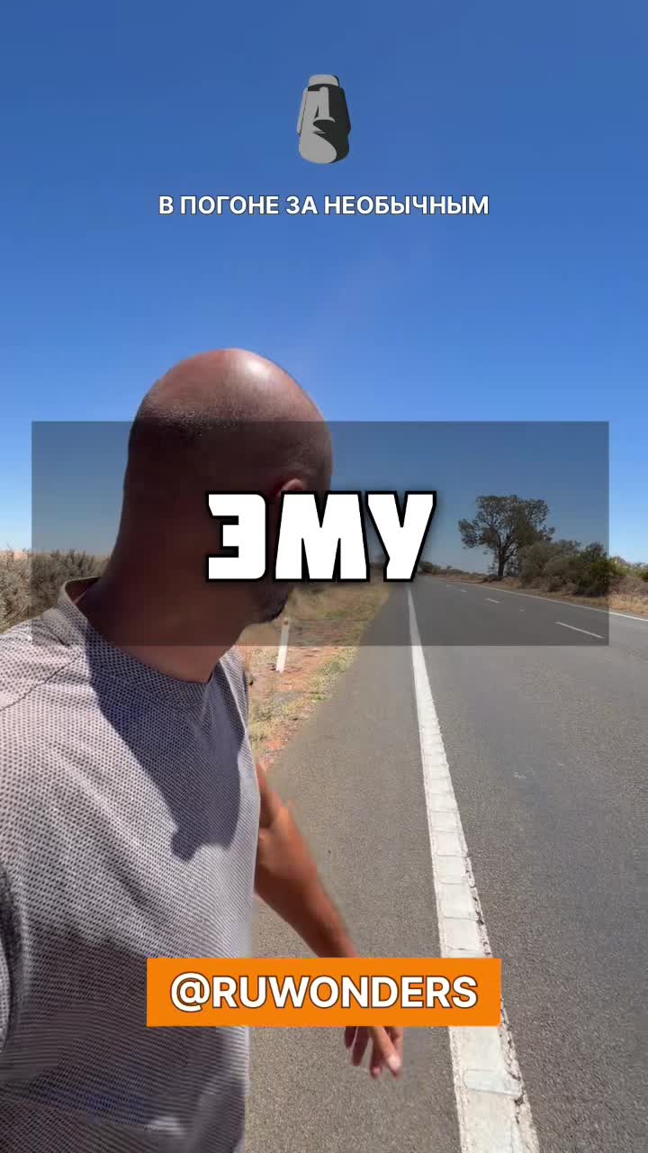 Эму смотреть онлайн