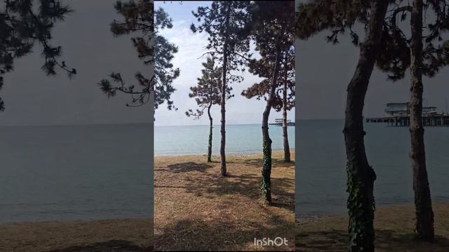 Поездка в Сухум