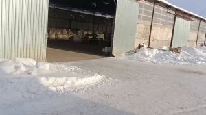 Мопеды сериал | Серия 1693