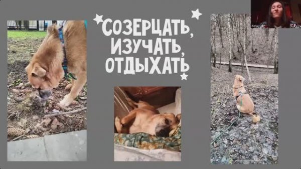 Алла и Чунья для рубрики #собака_с_изюмом