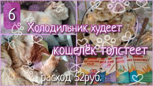 Холодильник худеет, кошелёк толстеет//день 6