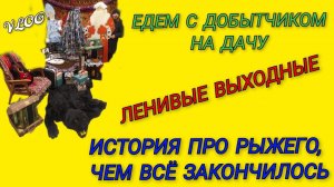 🍒Едем с моим добытчиком на дачу/ История про Рыжего и чем всё закончилось/ Заделали щели на потолке