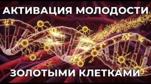 Омоложение организма на уровне ДНК: Гипноз для Омоложения и Регенерации | SkillGenius⚡МАСТЕР ГЕНИЯ