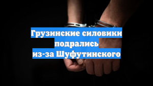 Sputnik Грузия: силовики в ресторане Ткибули подрались из-за песен Шуфутинского