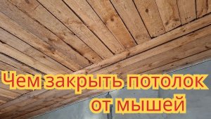 Как закрыть потолок от мышей.