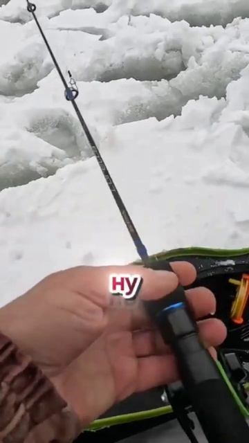 ДЕШЕВЫЙ СПИННИНГ на WB Loretta ZETRIX #fishing #рыбалка #спиннинг #wb #советырыболову #рыбак смотреть онлайн