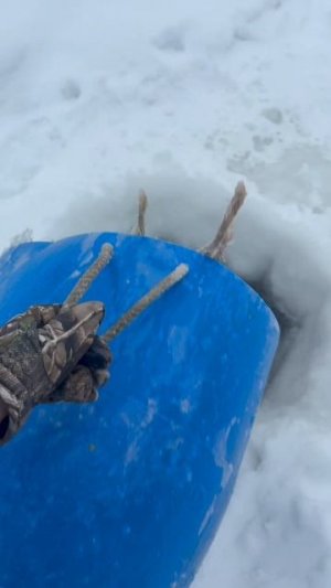 Запуск форели