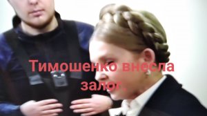 Тимошенко Юлия внесла залог,но ей запретили покидать Киевскую область.