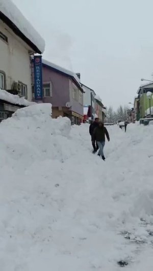 telegram-cloud-document-2-5424597785666161477