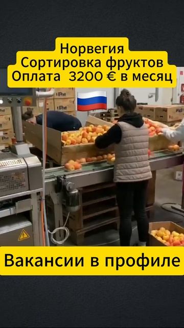 Работа в Европе для граждан РФ РБ