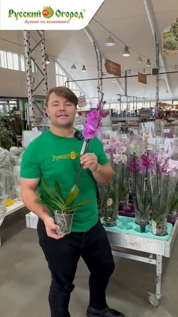 Что сделать, чтобы орхидея зацвела? смотреть онлайн