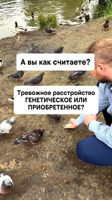 А вы как считаете? смотреть онлайн