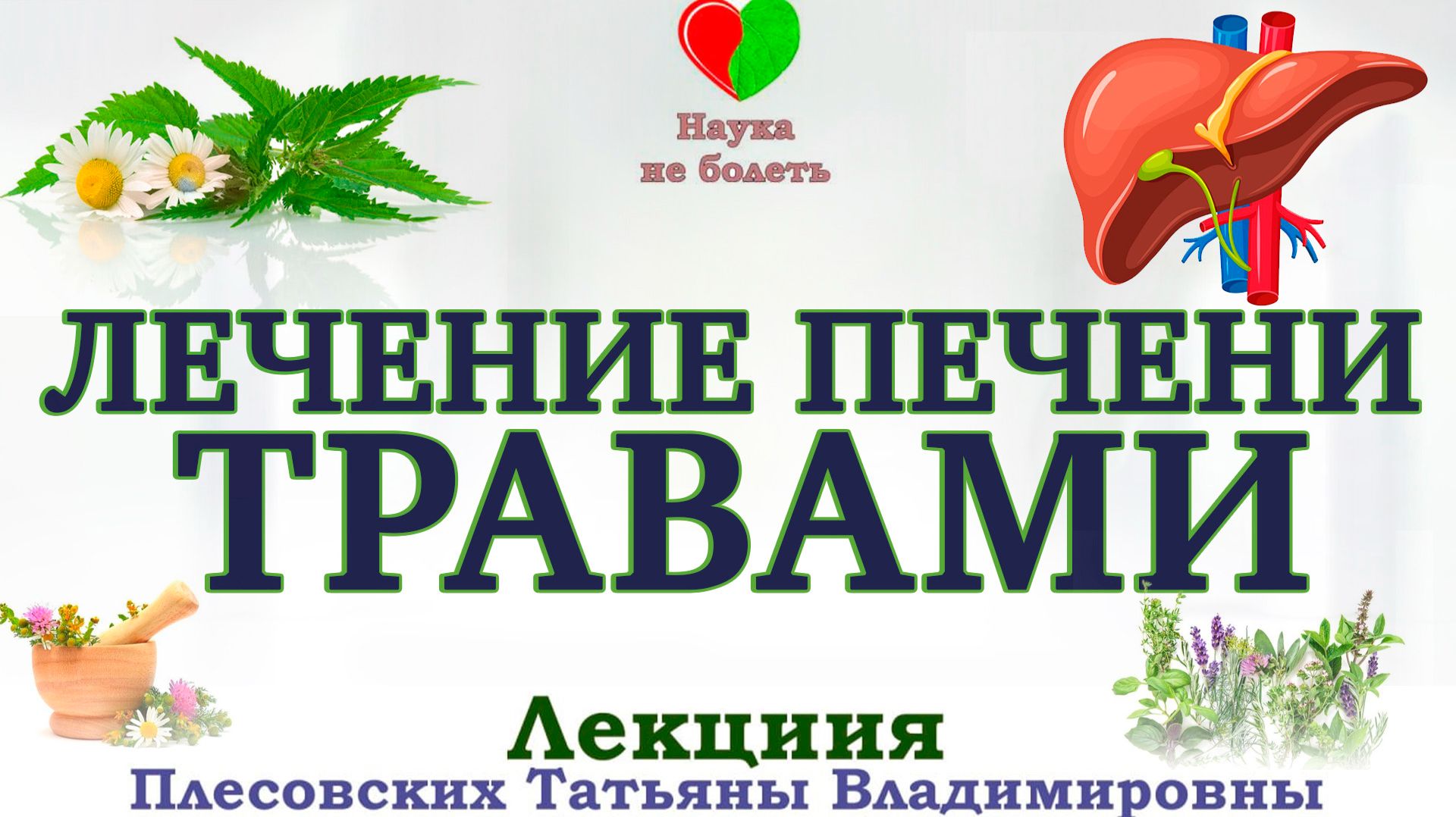 ПЕЧЕНЬ ПЕРЕГРУЖЕНА ТОКСИНАМИ! КАК ЕЁ ОЧИСТИТЬ ТРАВАМИ. - Плесовских Т.В. смотреть онлайн
