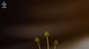 КАК отчистить СЕРДЦЕ? | ВЗГЛЯД, ЛИШАЮЩИЙ РАЯ