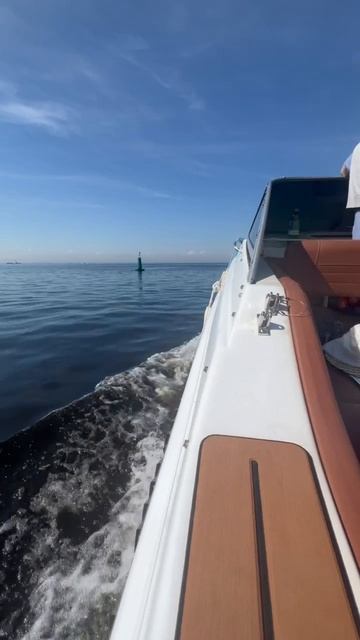 IMG_8081 смотреть онлайн