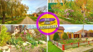 Крымское село зимой. Зелень, цветы и бабочки! Зима в Крыму.