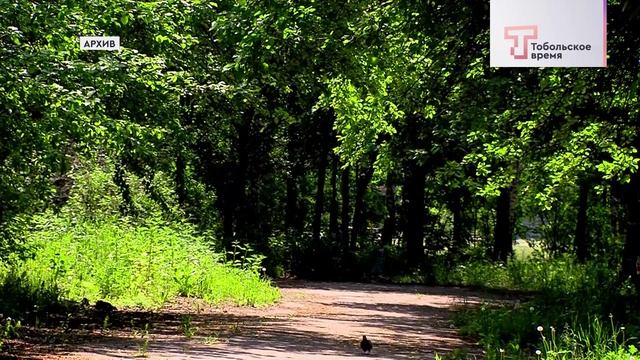 ПРОЕТ МЕНДЕЛЕЕВ - ПАРК смотреть онлайн