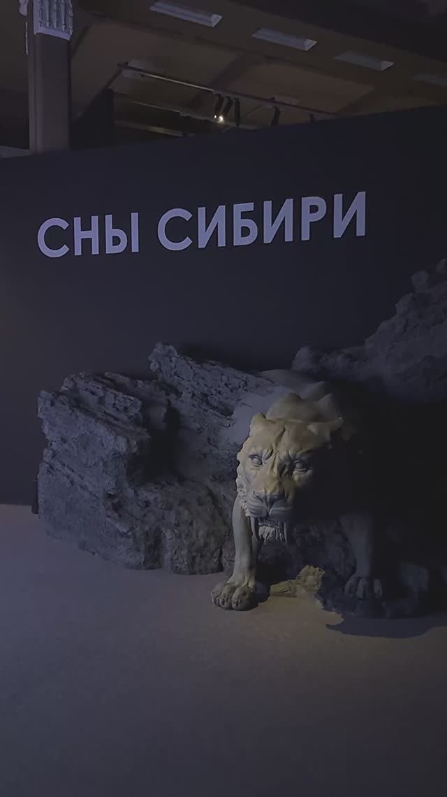 Открытие выставки «Сны Сибири» в Иркутске смотреть онлайн