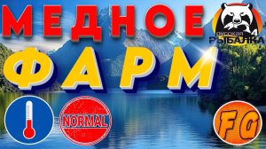 ФАРМ МЕДНОЕ. НОРМАЛЬНАЯ ТЕМПЕРАТУРА. Russian Fishing 4. рр4. Русская рыбалка 4