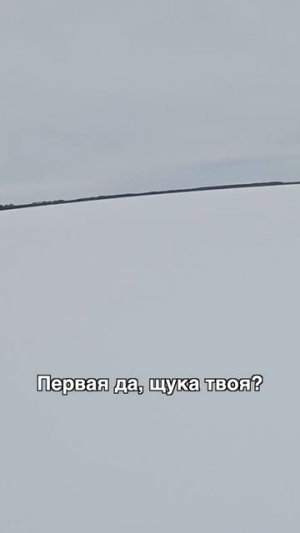 Как только Дима Елисеев приехал – окунь сбежал!😅Что-то они о нем знают!🤫 #teammida