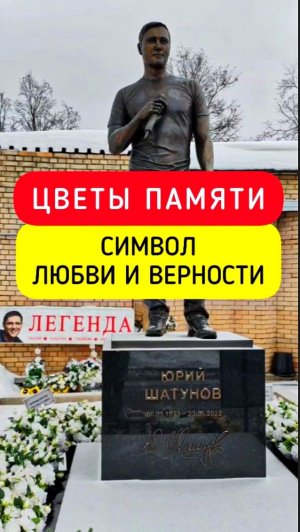 в объятиях белых роз: могила Юрия Шатунова #shorts #2026 #шатунов #белыерозы #ласковыймай #память