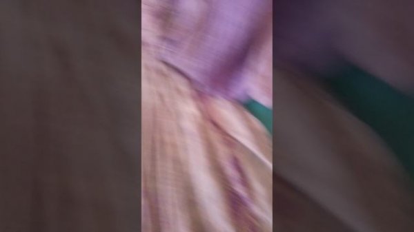 Лиса уже ДОСТАЛА!