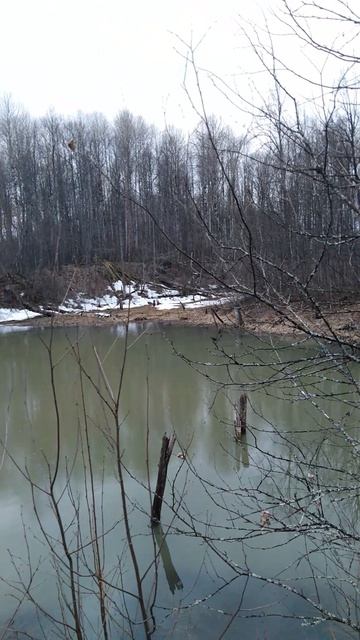 ✔Маленькое таёжное🌿 озеро💧✔