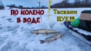 ⚡️Наловили щук - по колено в воде. Одни зацепы ⭐️Зимняя рыбалка-2026 на Диком пруду и ЖЕРЛИЦЫ !!