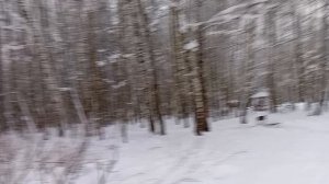 Пришла настоящая зима, красиво вокруг, шашлычная зона в снегу, вдалеке кто то жарит шашлыки