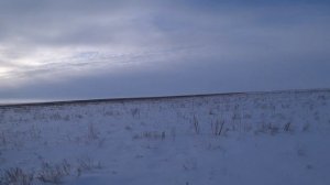 Охота на зайца после длительного затишья